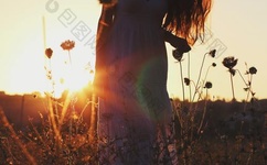 扬思敏1一5集国语版免费